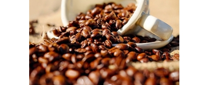 麦咖啡推出新产品线，要跟星巴克争客流